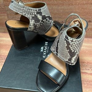 Coach - BETSY MAT CALF/LUX SNAKE